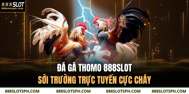 Đá Gà Thomo 888SLOT - Sới Trường Trực Tuyến Cực Cháy 9 Đá Gà Thomo
