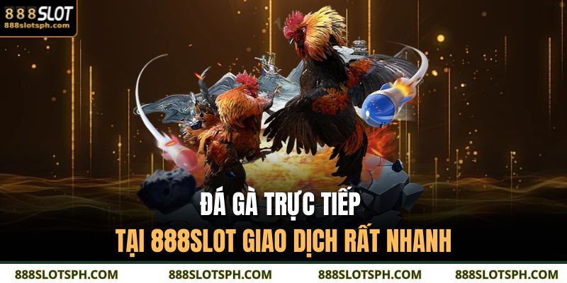 Đá Gà Trực Tiếp – Trải Nghiệm Thật Từng Giây Căng Thẳng 3 Đá gà trực tiếp tại 888SLOT giao dịch rất nhanh