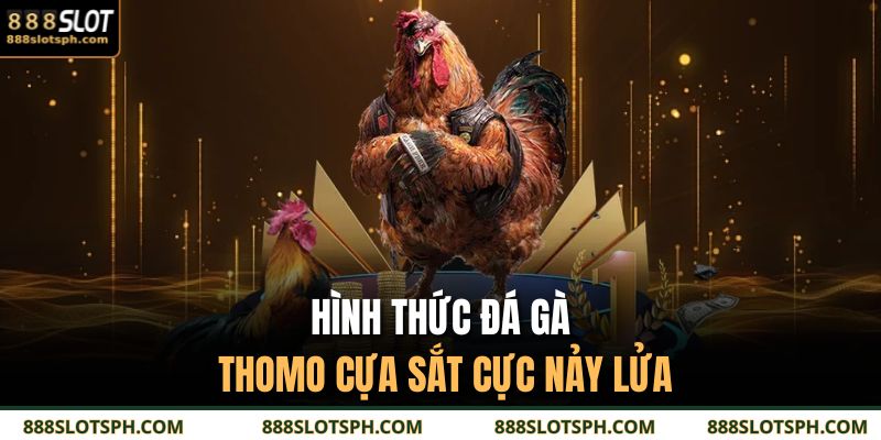 Đá Gà Thomo 888SLOT - Sới Trường Trực Tuyến Cực Cháy 4 Hình thức đá gà Thomo cựa sắt cực nảy lửa
