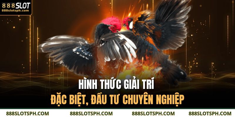 Đá Gà Trực Tiếp – Trải Nghiệm Thật Từng Giây Căng Thẳng 2 Hình thức giải trí đặc biệt, đầu tư chuyên nghiệp