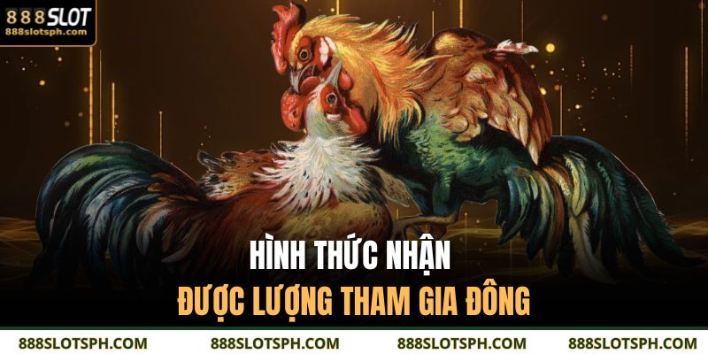 Đá Gà Cựa Sắt 888SLOT: Cuộc Chiến Đầy Bản Lĩnh Của Chiến Kê 2 Hình thức nhận được lượng tham gia đông