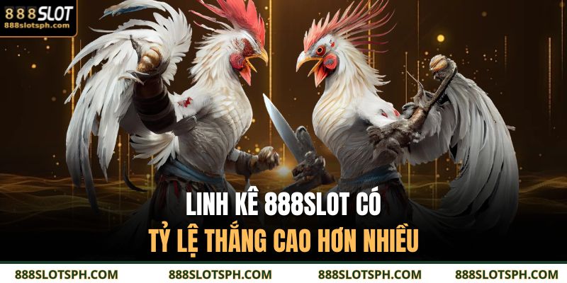 Linh Kê 888SLOT - Hình Tượng Đặc Biệt Trong Giới Gà Đá 4 Linh kê 888SLOT có tỷ lệ thắng cao hơn nhiều