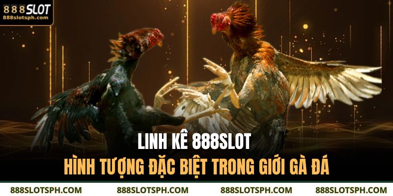 Linh Kê 888SLOT - Hình Tượng Đặc Biệt Trong Giới Gà Đá 3 linh kê 888SLOT