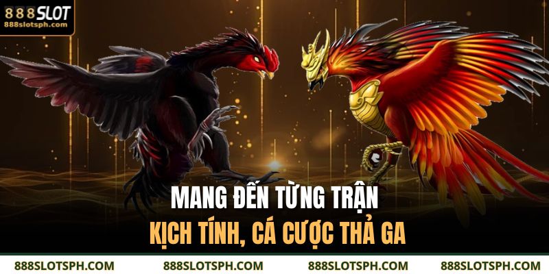 Đá Gà Thomo 888SLOT - Sới Trường Trực Tuyến Cực Cháy 3 Mang đến từng trận kịch tính, cá cược thả ga