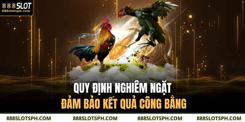 Đá Gà Cựa Sắt 888SLOT: Cuộc Chiến Đầy Bản Lĩnh Của Chiến Kê 4 Quy định nghiêm ngặt đảm bảo kết quả công bằng