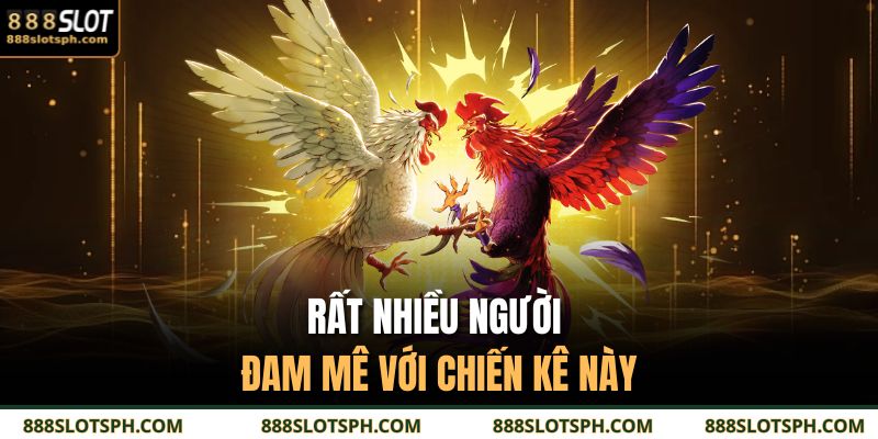 Linh Kê 888SLOT - Hình Tượng Đặc Biệt Trong Giới Gà Đá 2 Rất nhiều người đam mê với chiến kê này