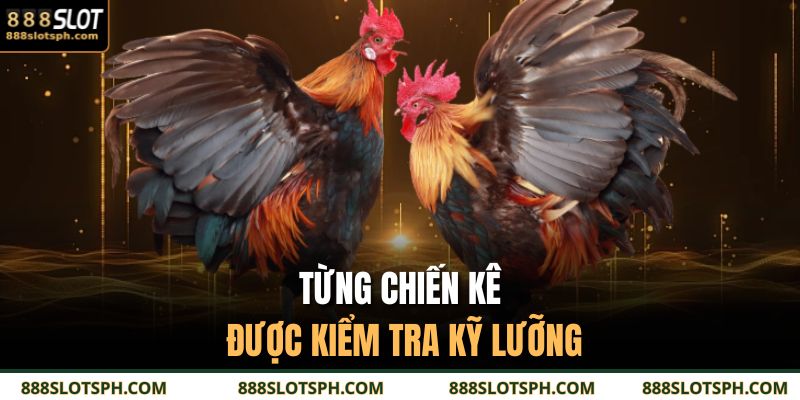 Đá Gà Thomo 888SLOT - Sới Trường Trực Tuyến Cực Cháy 5 Từng chiến kê được kiểm tra kỹ lưỡng